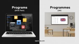 Programs or Programmes: The Real Difference