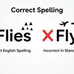 flys or flies